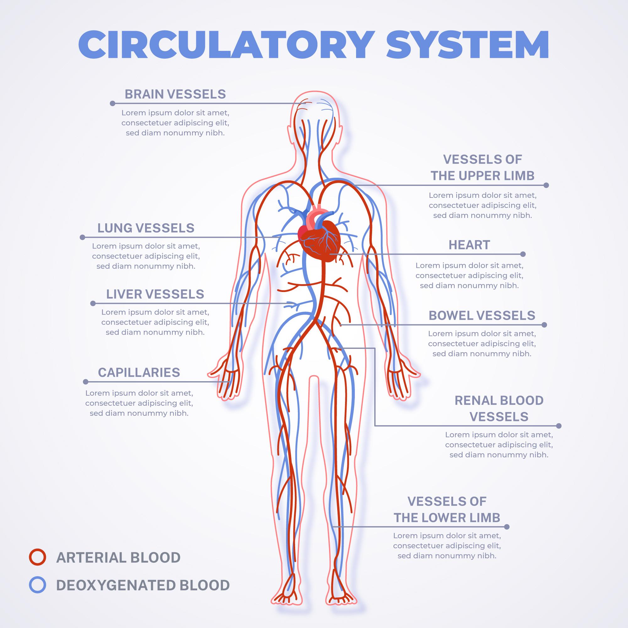 Blood Flow Therapy